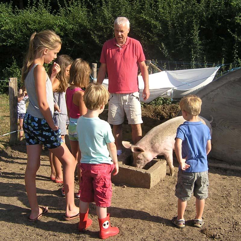varkens_voeren